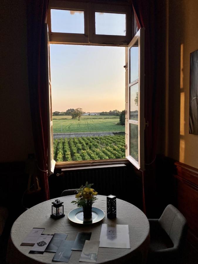 Hotel Particulier Chateau Des Marais Proximite Et Vue Sur Le Lac De Grand Lieu Saint-Philbert-de-Grand-Lieu Ngoại thất bức ảnh